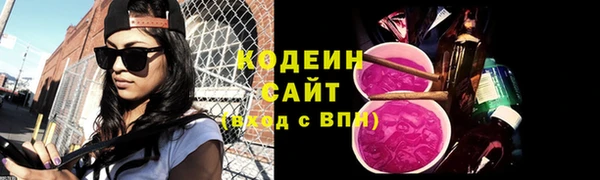 метадон Инта