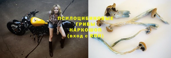 метадон Инта