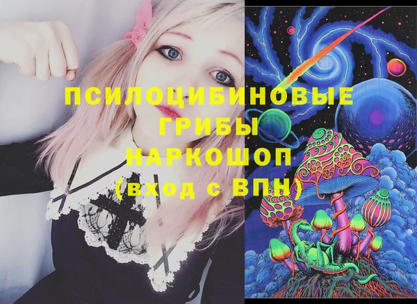 метадон Инта