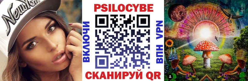 Купить закладки  Омутнинск  Псилоцибиновые грибы Psilocybe 